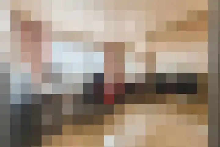 Tartwijck 101 Sint-Oedenrode thumbnail 9