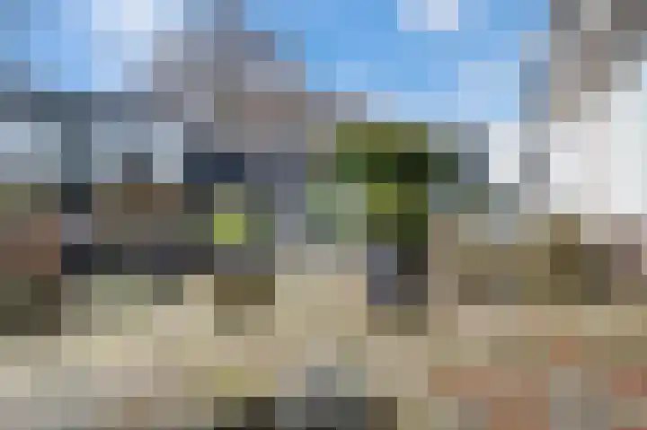 Tartwijck 37 Sint-Oedenrode thumbnail 29