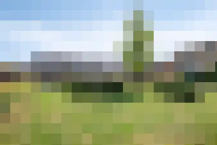 Tartwijck 63 Sint-Oedenrode thumbnail 31