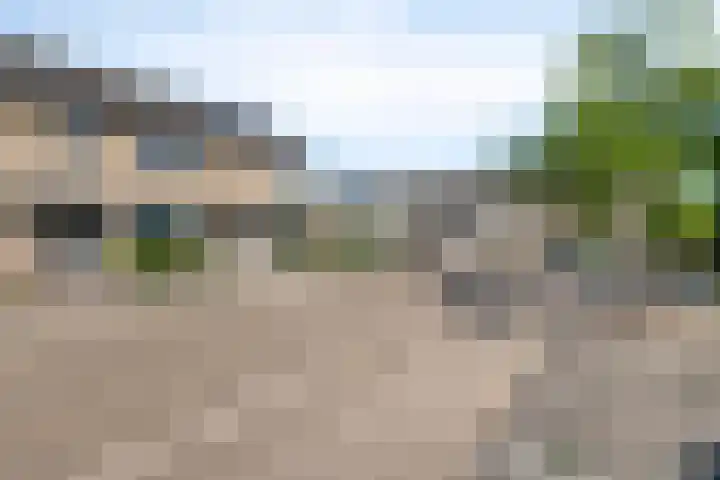 Tartwijck 63 Sint-Oedenrode thumbnail 33