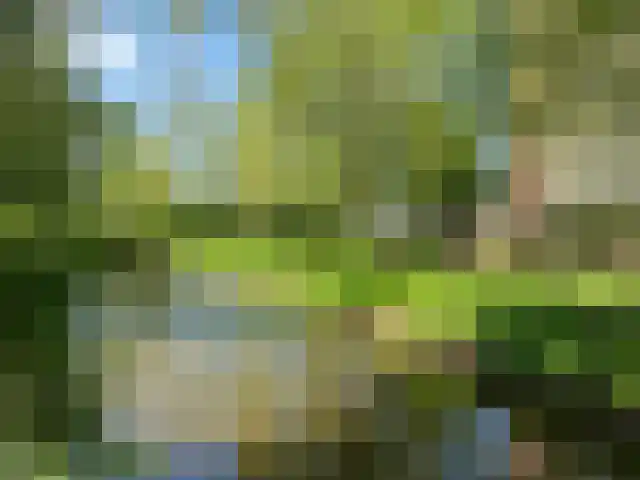 Tartwijck 63 Sint-Oedenrode thumbnail 42