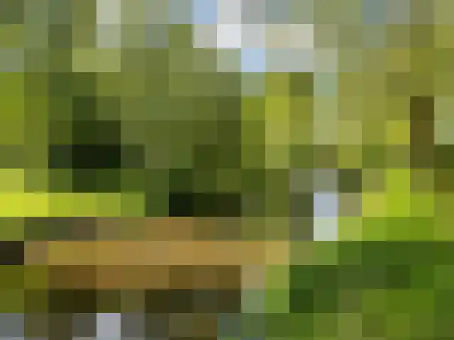 Tartwijck 63 Sint-Oedenrode thumbnail 43