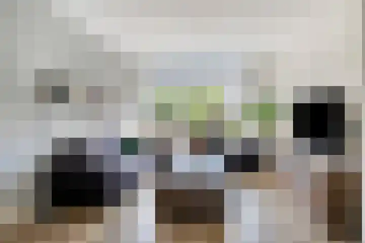Tartwijck 63 Sint-Oedenrode thumbnail 8