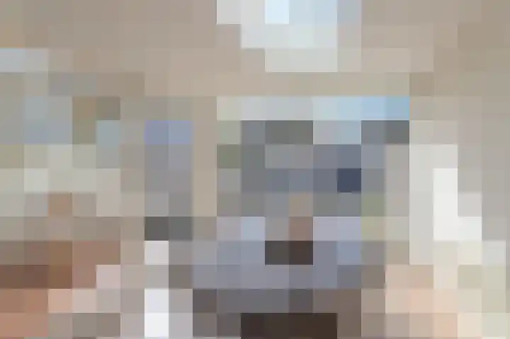 Tarwe 10 Mierlo thumbnail 15
