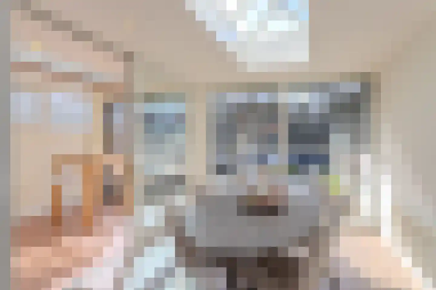 Tarwe 10 Mierlo thumbnail 19