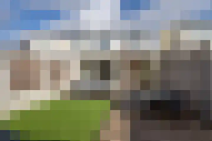Tarwe 10 Mierlo thumbnail 30
