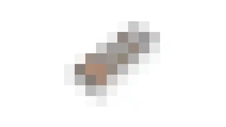 Tarwe 10 Mierlo thumbnail 31