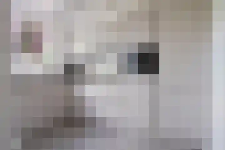 Tarwe 10 Mierlo thumbnail 35