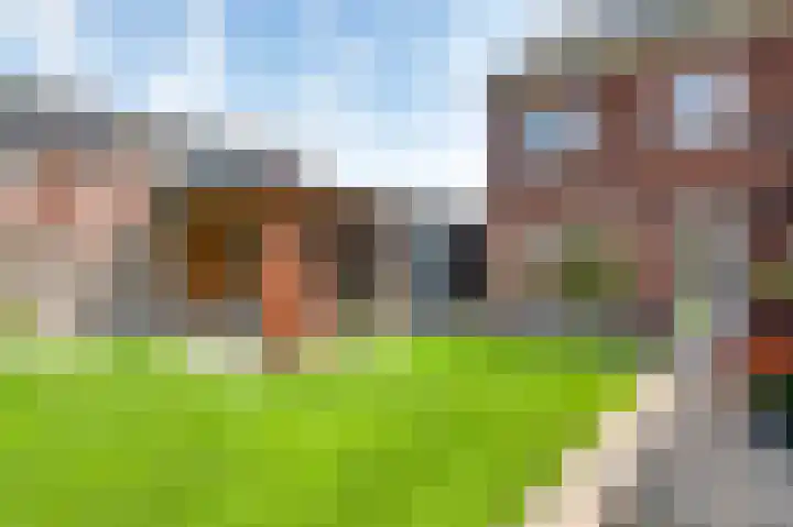 Tarwe 11 Leveroy thumbnail 30