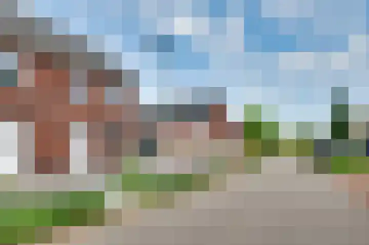 Tarwe 11 Leveroy thumbnail 35
