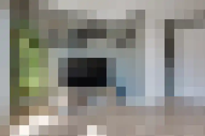 Tarwe 13 Leveroy thumbnail 10