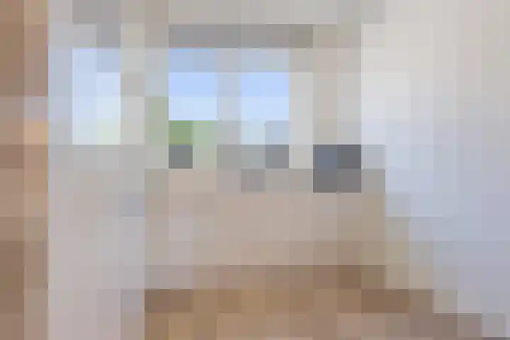 Tarwe 13 Leveroy thumbnail 15