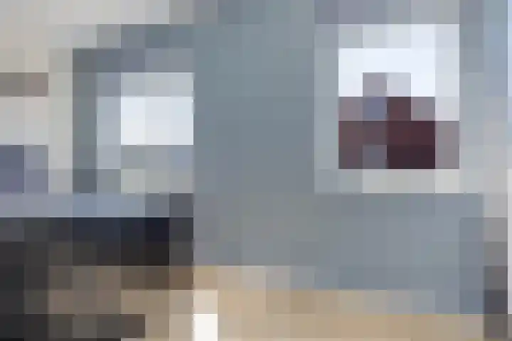 Tarwe 13 Leveroy thumbnail 21