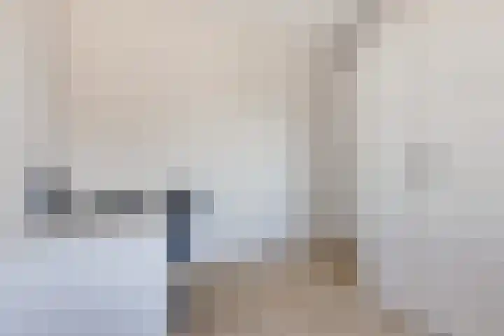 Tarwe 13 Leveroy thumbnail 23