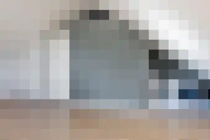 Tarwe 13 Leveroy thumbnail 35