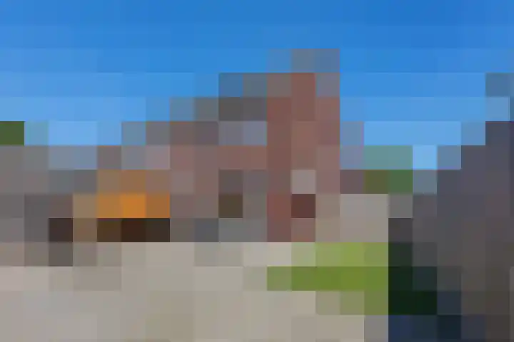 Tarwe 13 Leveroy thumbnail 36