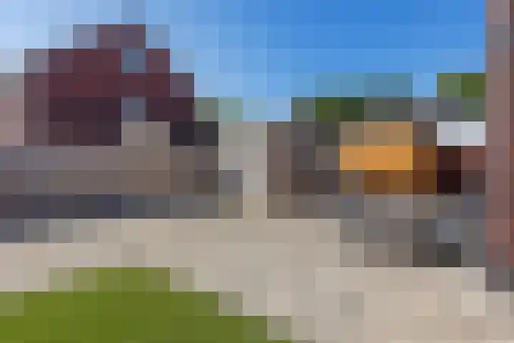 Tarwe 13 Leveroy thumbnail 38