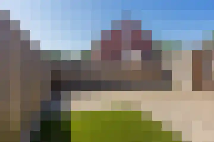Tarwe 13 Leveroy thumbnail 39