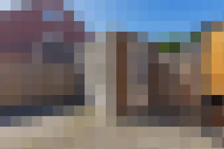 Tarwe 13 Leveroy thumbnail 40
