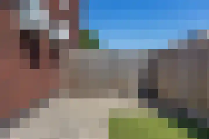 Tarwe 13 Leveroy thumbnail 41