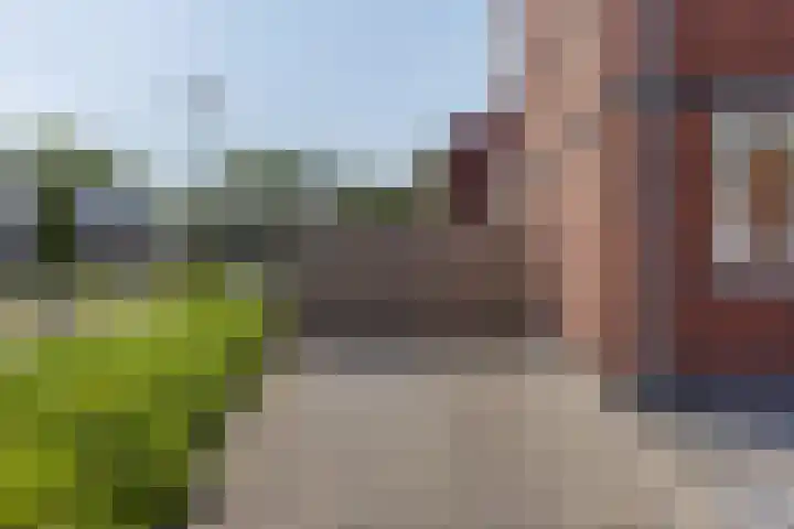 Tarwe 13 Leveroy thumbnail 42
