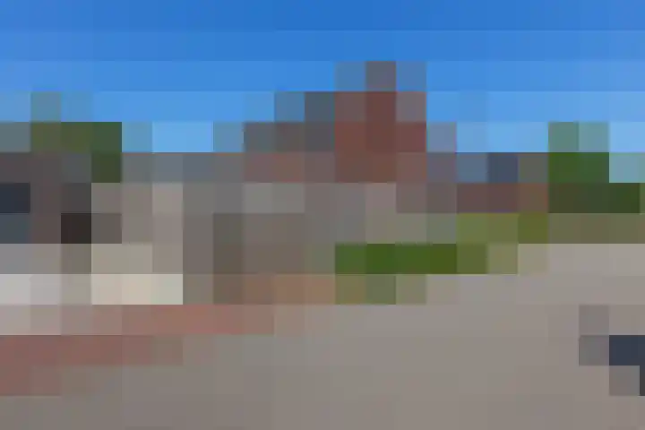Tarwe 13 Leveroy thumbnail 43