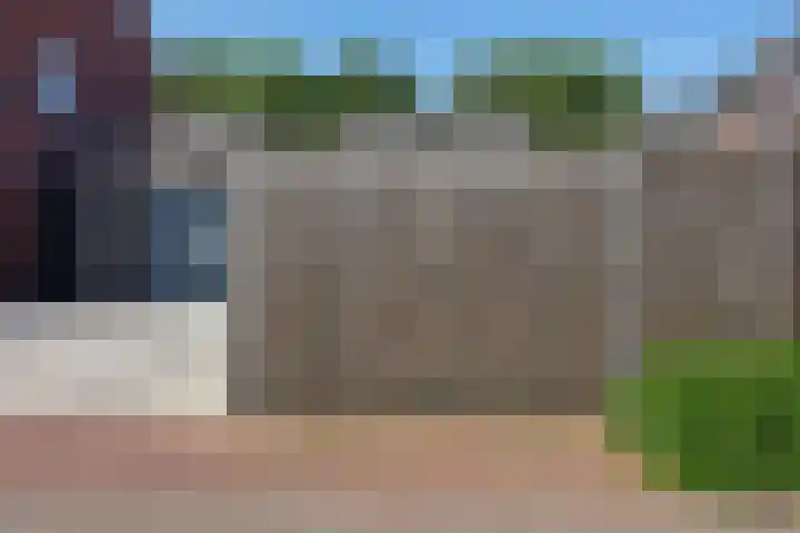 Tarwe 13 Leveroy thumbnail 44