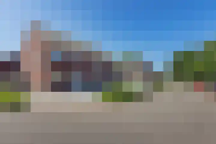 Tarwe 13 Leveroy thumbnail 46