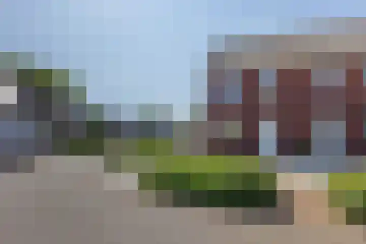Tarwe 13 Leveroy thumbnail 47