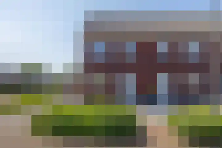Tarwe 13 Leveroy thumbnail 5