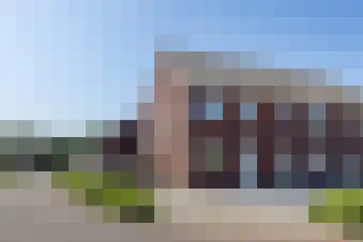 Tarwe 13 Leveroy thumbnail 53