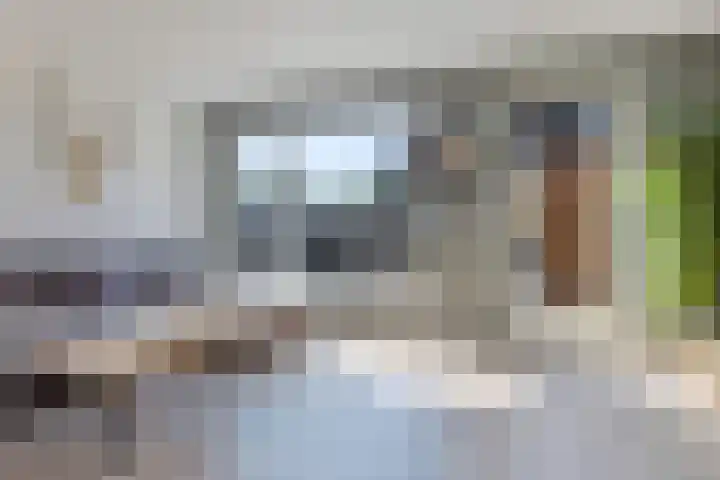 Tarwe 13 Leveroy thumbnail 8