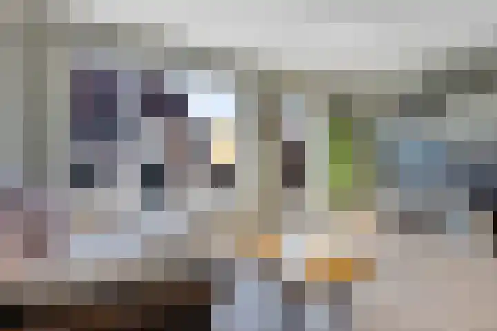 Tarwe 13 Leveroy thumbnail 9