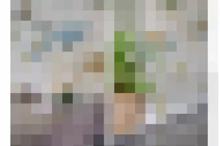 Tarwe 8 Helden thumbnail 11