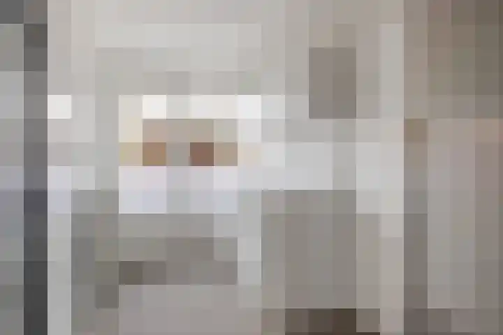 Tarwe 8 Helden thumbnail 15