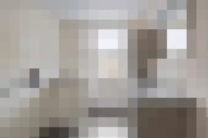 Tarwe 8 Helden thumbnail 19