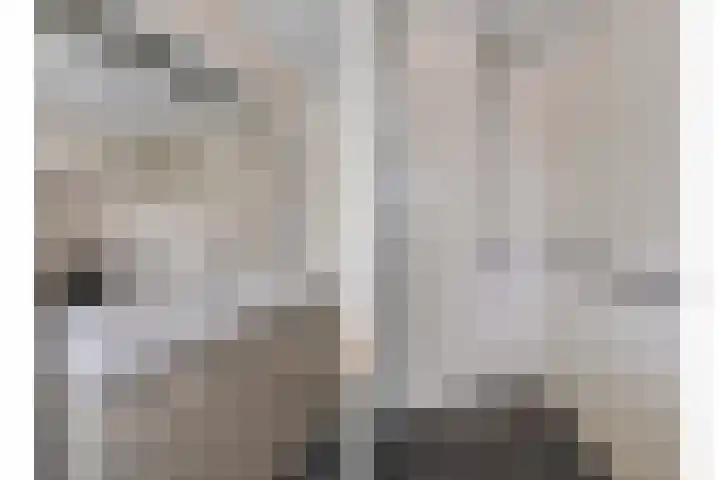 Tarwe 8 Helden thumbnail 20