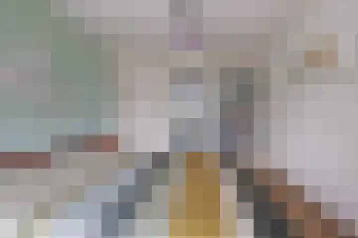 Tarwe 8 Helden thumbnail 23