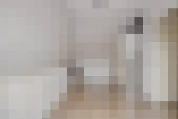 Tarwe 8 Helden thumbnail 27