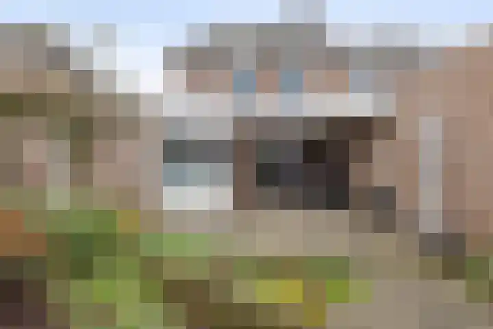 Tarwe 8 Helden thumbnail 30