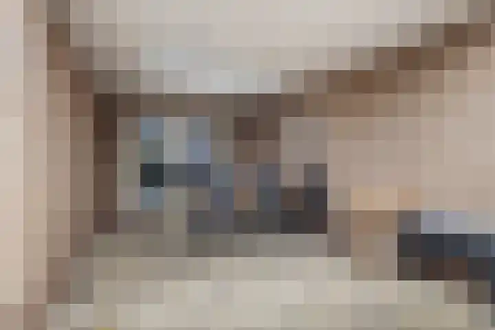 Tarwe 8 Helden thumbnail 31