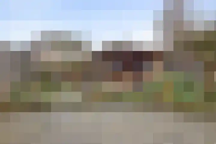 Tarwe 8 Helden thumbnail 32