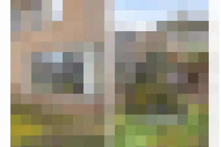 Tarwe 8 Helden thumbnail 36