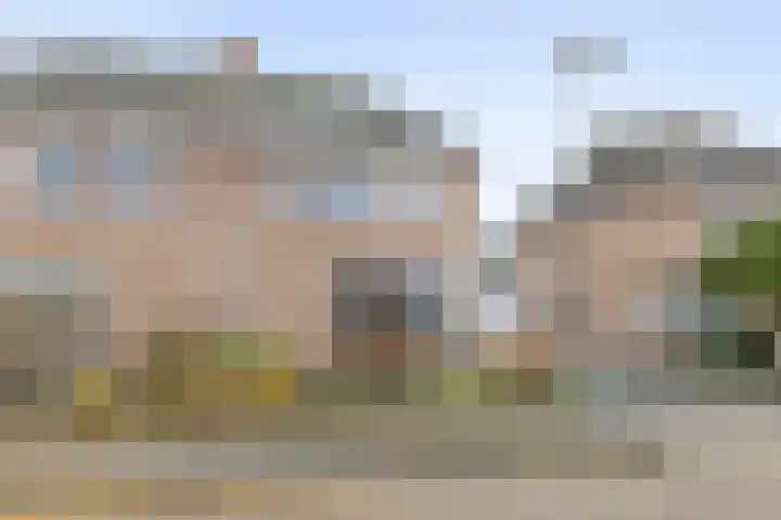 Tarwe 8 Helden thumbnail 38