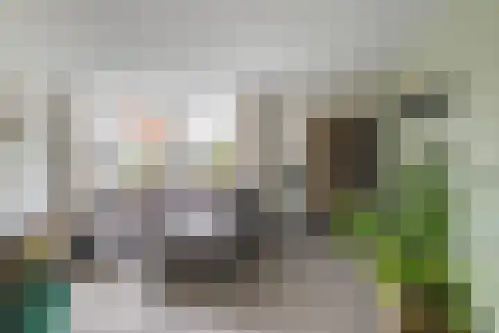 Tarwe 8 Helden thumbnail 4