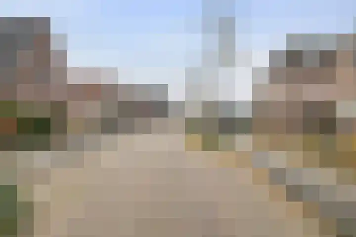 Tarwe 8 Helden thumbnail 41