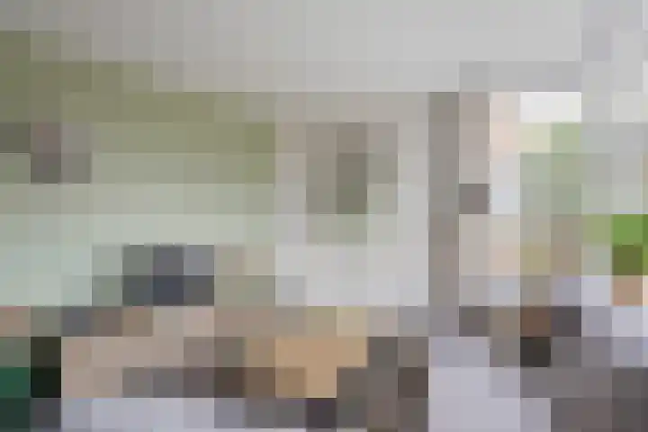 Tarwe 8 Helden thumbnail 6