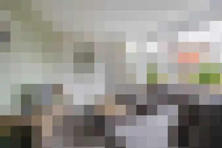Tarwe 8 Helden thumbnail 7