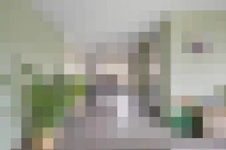 Tarwe 8 Helden thumbnail 8