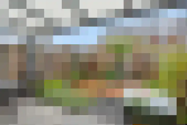 Tarwe 8 Heusden thumbnail 24